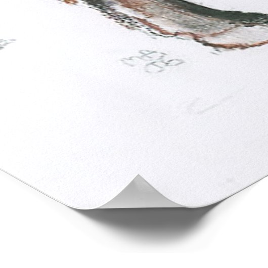 Belties 2006 ポスター (角)