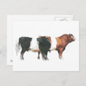 Belties 2006 ポストカード (正面/裏面)