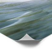 Beluga Whale、デルフィナプテラスleucas)、捕虜 ポスター (角)