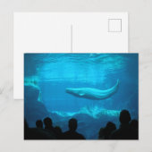 Beluga Whale ポストカード (正面/裏面)