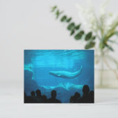 Beluga Whale ポストカード (スタンド正面)