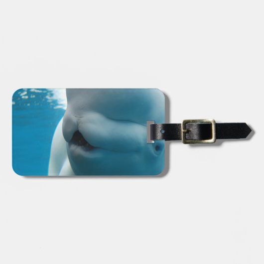 beluga-whale-27.jpg ラゲッジタグ (正面横)