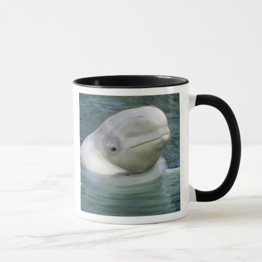 Beluga Whale、Delphinapterus leucas) マグカップ (右)