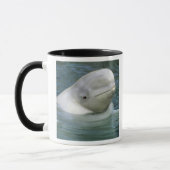 Beluga Whale、Delphinapterus leucas) マグカップ (左)