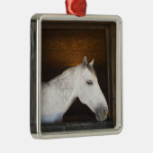 benalamadenaの肋骨、マラガ、コスタ・デル・ソル、2 メタルオーナメント (右)