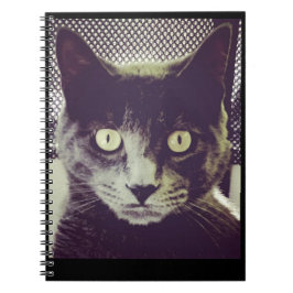 Benderノート ノートブック