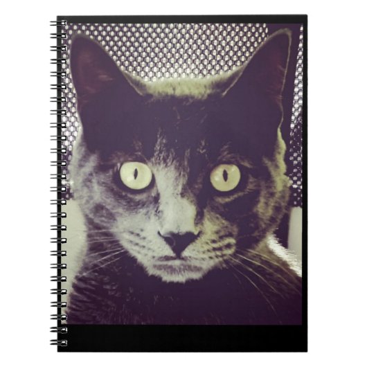 Benderノート ノートブック (正面)