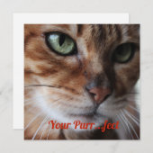 Bengal Cat の写真を使ったバレンタインデーカード シーズンカード (正面/裏面)