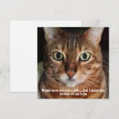  Bengal Cat Face Photo "プレゼント買ってあげたかったんだけどね" シーズンカード (正面/裏面)