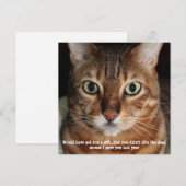 Bengal Cat Face Photo "プレゼント買ってあげたかったんだけどね" シーズンカード (正面/裏面)