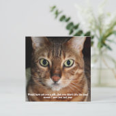 Bengal Cat Face Photo "プレゼント買ってあげたかったんだけどね" シーズンカード (スタンド正面)