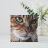  Bengal Cat Face Photograph - この画像をカスタマイズする シーズンカード (スタンド正面)