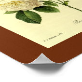 Bengal Rose 16 X 20 ポスター (角)