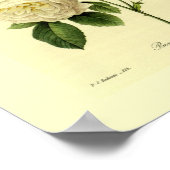 Bengal Rose Botanical Floral ポスター (角)