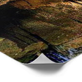 Bengal Tiger In Cave ポスター (角)