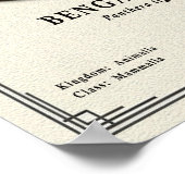 Bengal Tiger Zoology Series ポスター (角)