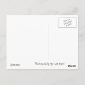 benidorm圧倒する郵便はがき ポストカード (裏面)