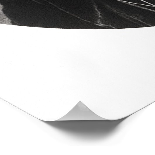 Benjamin Disraeli c.1874 ポスター (角)