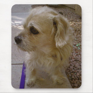 Benji マウスパッド