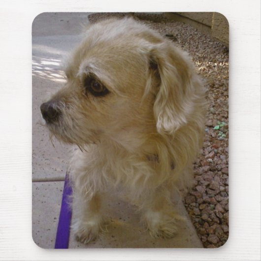 Benji マウスパッド (正面)