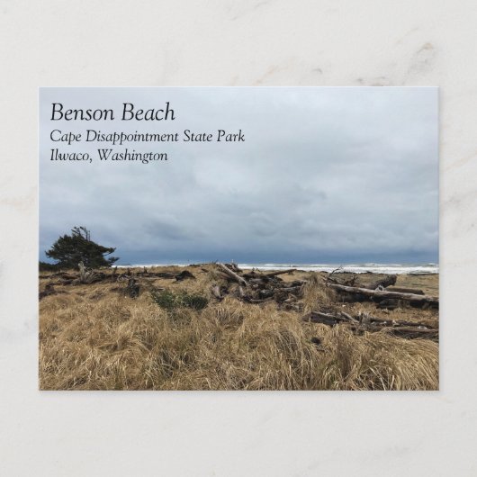 Bensonビーチ、Cape Displasted、WA ポストカード (正面)