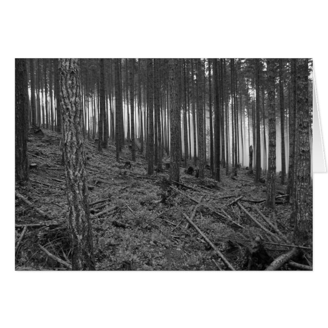 Benson草原 (正面横)