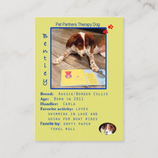 bentleyによって修正される名刺 名刺 (裏面)