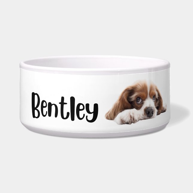 Bentley – 犬と猫のパーソナライズされたボウル ボウル (正面)