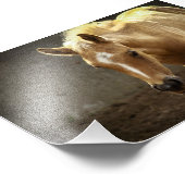 Berber Fohlen フォトプリント (角)