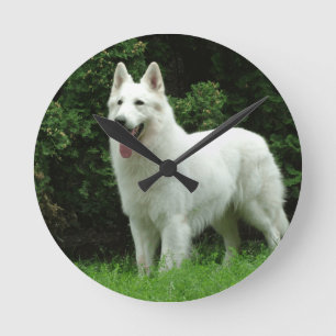 Berger Blanc Suisse犬 ラウンド壁時計
