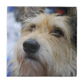 Berger Picardのタイル タイル (正面)