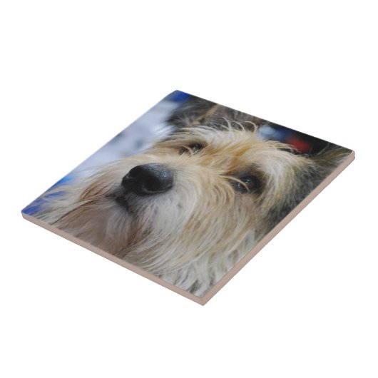 Berger Picardのタイル タイル (側面)