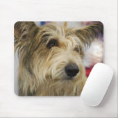 Berger Picard犬のマウスパッド マウスパッド (マウス)