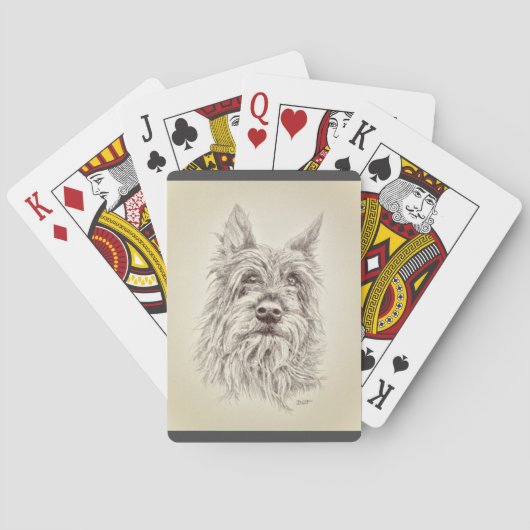 Berger Picard遊のカード トランプ (裏面)