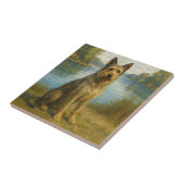 Berger Picard タイル (側面)