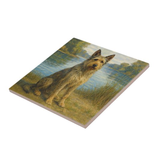 Berger Picard タイル (側面)