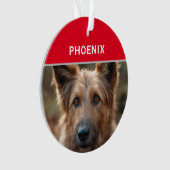 Berger Picard Dog's Name and Photo Christmas オーナメント (正面)