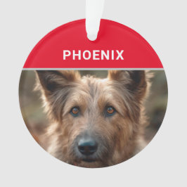 Berger Picard Dog's Name and Photo Christmas オーナメント