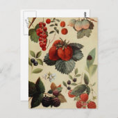 BERLIESの葉書 ポストカード (正面/裏面)