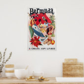 Bermuda Art Daniel Sweeney Print Delta Travel ポスター (キッチン)