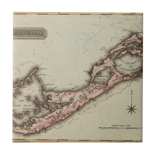 Bermudas タイル (正面)