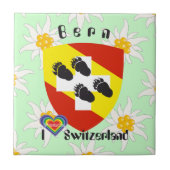 Bern Berne Berna Schweiz Suisse Fliese タイル (正面)