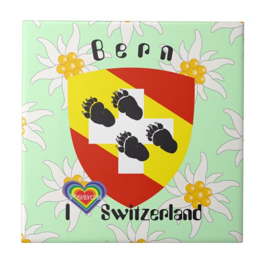 Bern Berne Berna Schweiz Suisse Fliese タイル (正面)