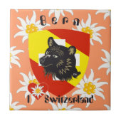 Bern Berne Berna Schweiz Suisse Fliese タイル (正面)