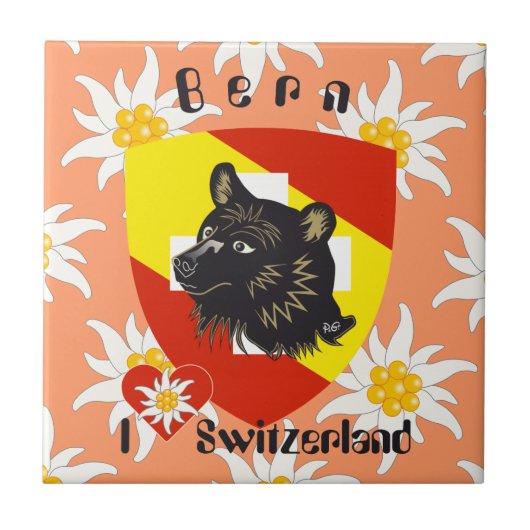 Bern Berne Berna Schweiz Suisse Fliese タイル (正面)