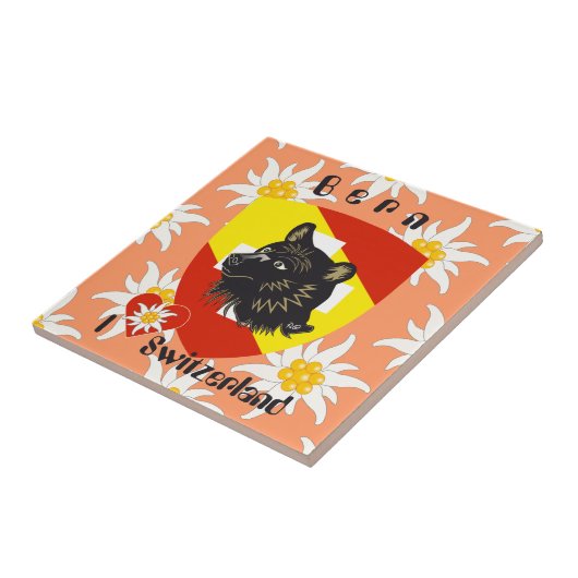 Bern Berne Berna Schweiz Suisse Fliese タイル (側面)