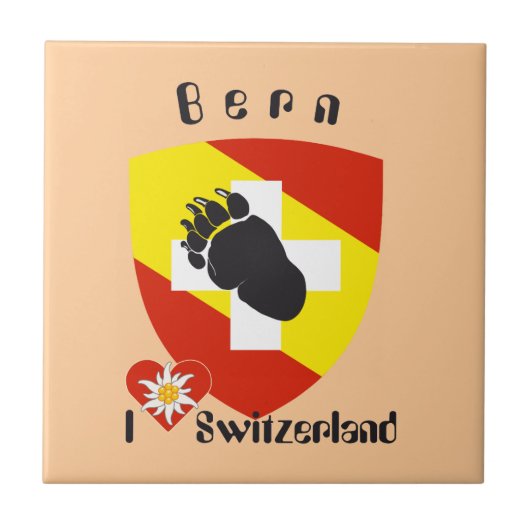 Bern Berne Berna Schweiz Suisse Fliese タイル (正面)
