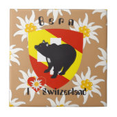 Bern Berne Berna Schweiz Suisse Fliese タイル (正面)