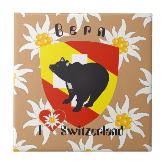 Bern Berne Berna Schweiz Suisse Fliese タイル (正面)