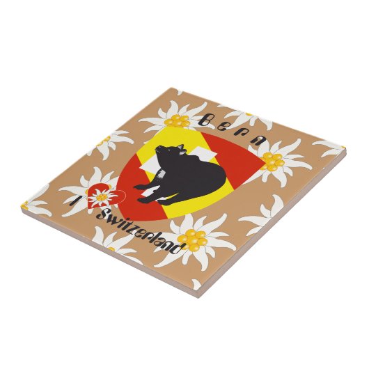 Bern Berne Berna Schweiz Suisse Fliese タイル (側面)